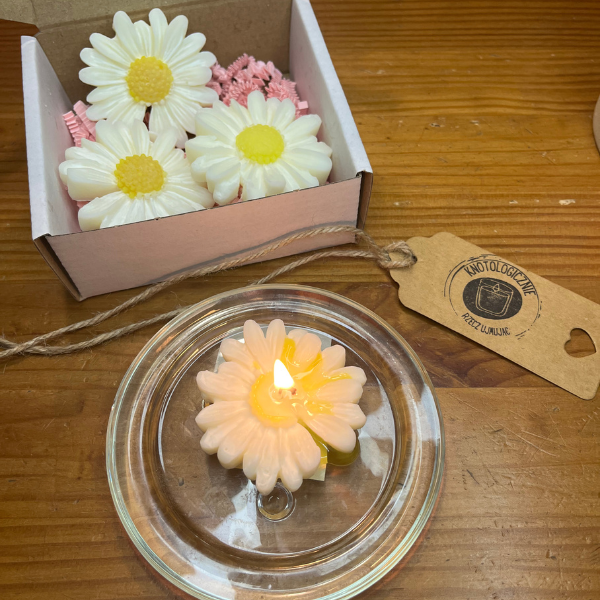 świeczki tealight stokrotka na stole; zapalona; w tle: świece sojowe w opakowaniu zbiorczym