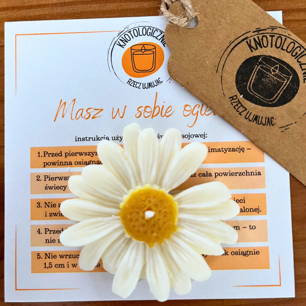 świeczki tealight stokrotka jaśmin na stole; w tle: instrukcja korzystania z świecy sojowej