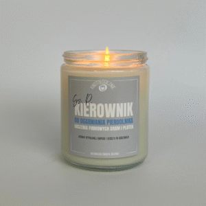 Kierownik od ogarniania pierdolnika – świeca sojowa (250 ml)