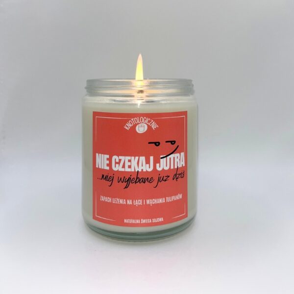 Nie czekaj jutra – świeca sojowa (250 ml)