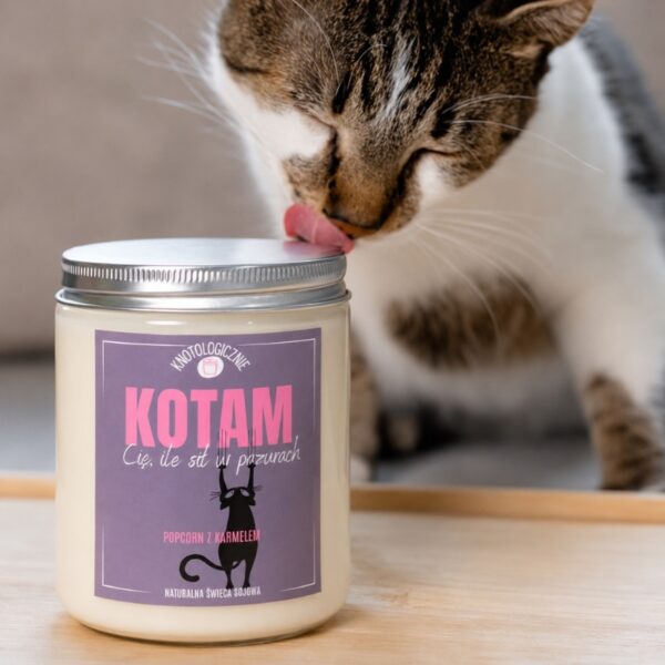 Kotam Cię – ile sił w pazurach – świeca sojowa (250 ml) — widok produktu