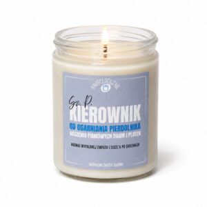 Kierownik od ogarniania pierdolnika – świeca sojowa (250 ml)